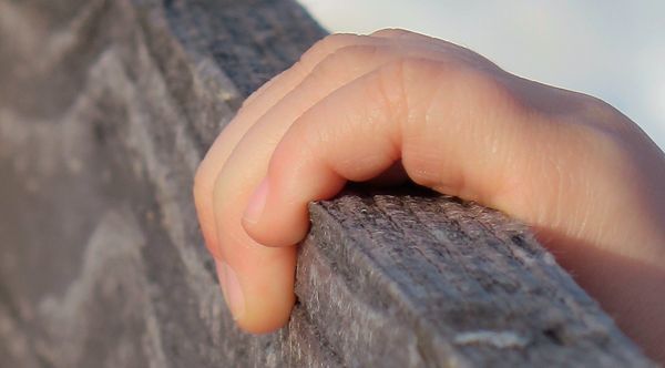 madera no toxica