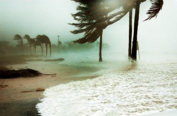 Viento y sismo, primos hermanos