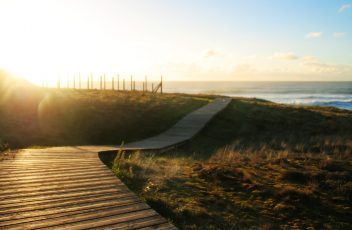 La madera, una oportunidad para el turismo