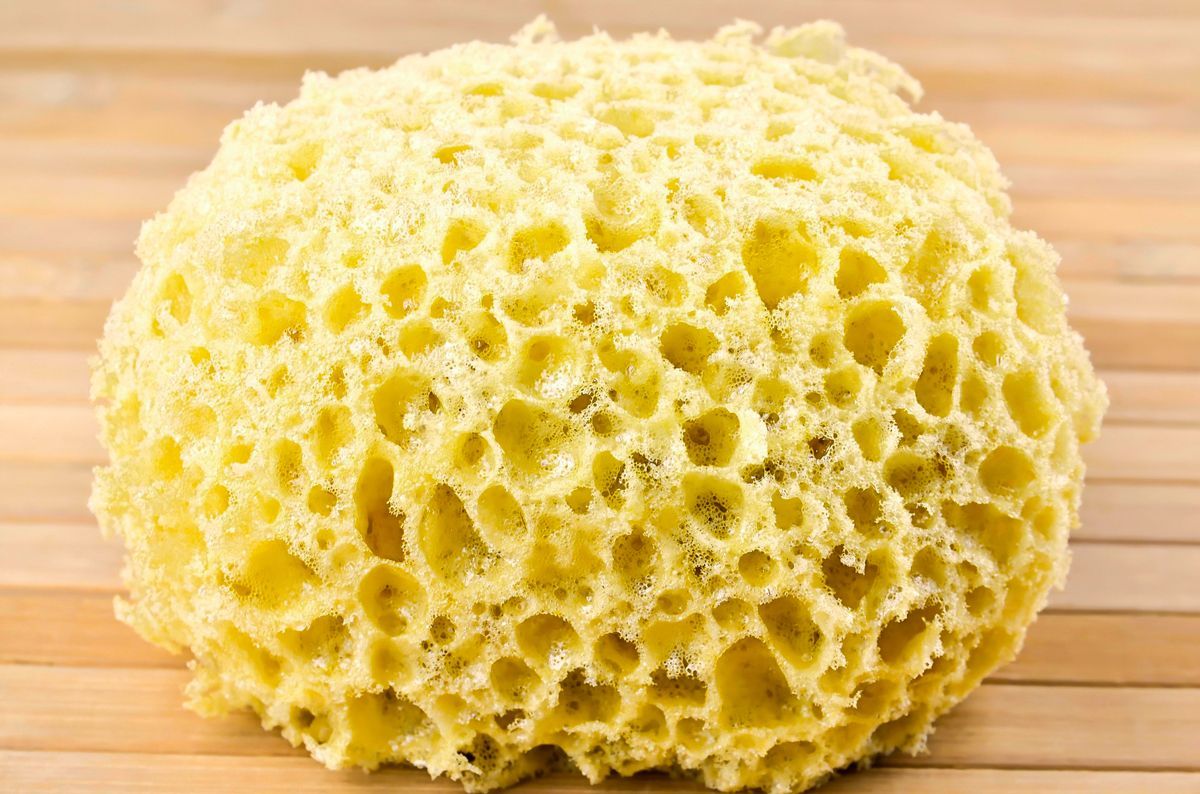 madera-porosa-higroscopica