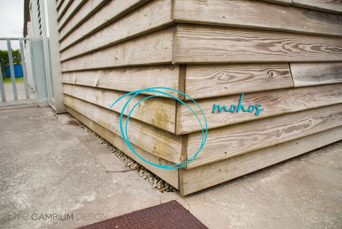 fachada-madera-mohos