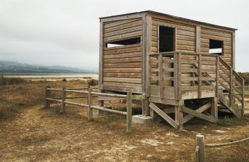 Madera para ver sin ser visto