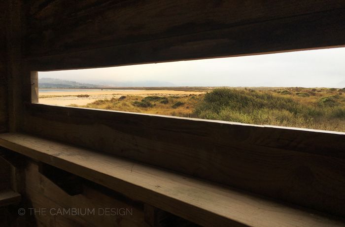 3-observatorio-vista-interior-madera