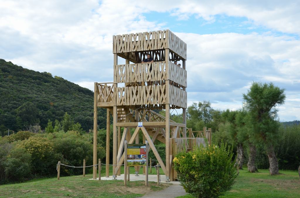 5-observatorio-aves-marisma-victoria-noja-cantabria