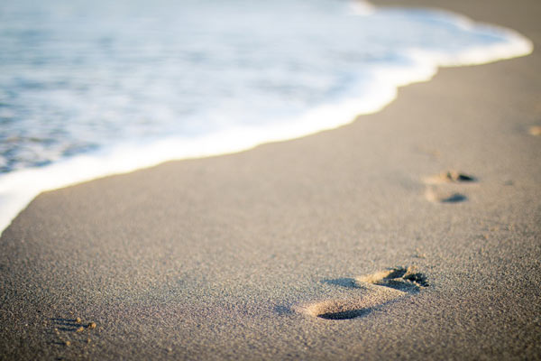 pasos en la playa madera