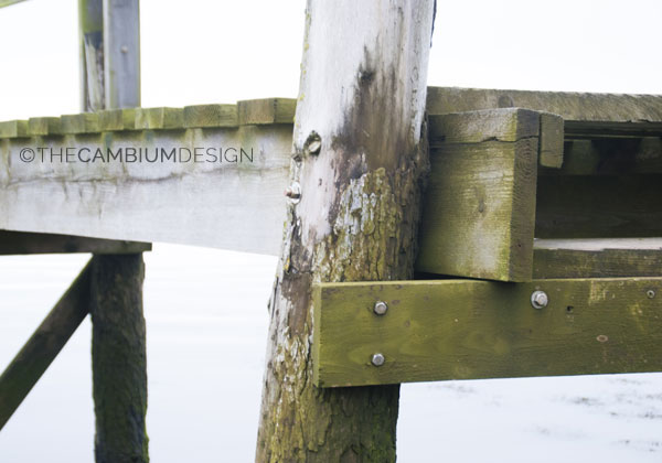 Pilotes de madera en muelle en el fiordo