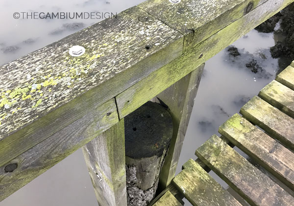 Barandilla del muelle de madera en el Forth Edimburgo