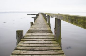Madera sobre las aguas del fiordo