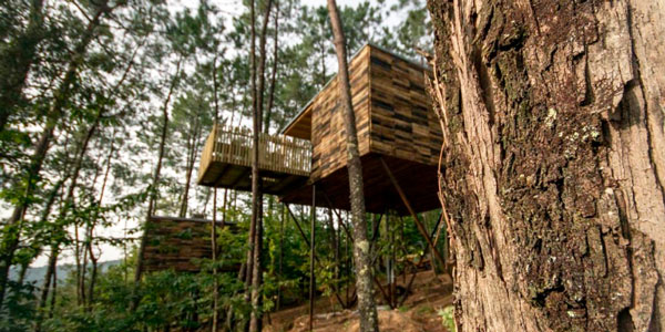 Cabanas do Barranco. Cabañitas en los árboles. Fachada de eucalipto en Galicia.