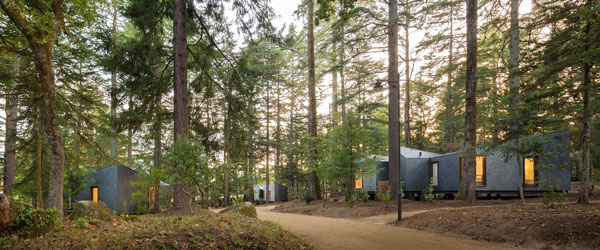 Pedras Salgadas el bosque